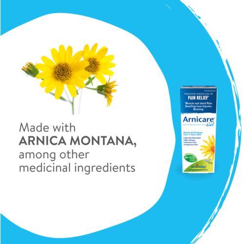 Arnica gel: how to relieve your pain with ARNICA GEL 🌼 